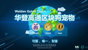 华登区块狗推广机制开发系统 广州软件开发的创新实践