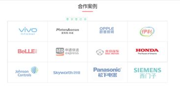 广州穿山甲科技 专注财务软件技术开发与供应的领先企业